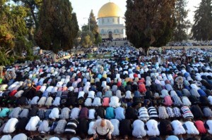 Il est inconcevable qu'un Juif n'ait pas le droit de prier sur les lieux de NOTRE Temple. Pour les Musulmans, ce lieu ne signifie rien. Ils se prosternent la tête tournée en direction de la Mecque, dos et postérieurs tournés vers le Mont du temple et la Mosquée d'al-Aqsa" (Europe-Israël)