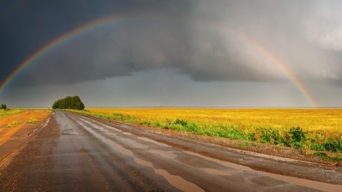 You are currently viewing Les pluies d’Israël