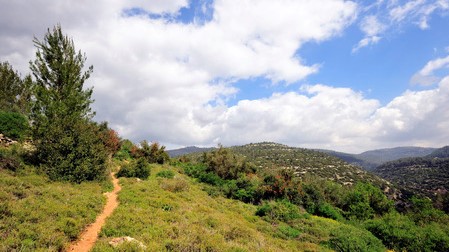 You are currently viewing Dans les montagnes de Jérusalem