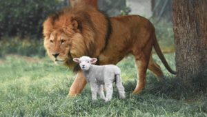 Lire la suite à propos de l’article L’Agneau et le Lion réunis